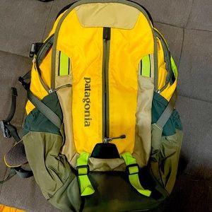 Patagonia Backpack. No tears or stains.